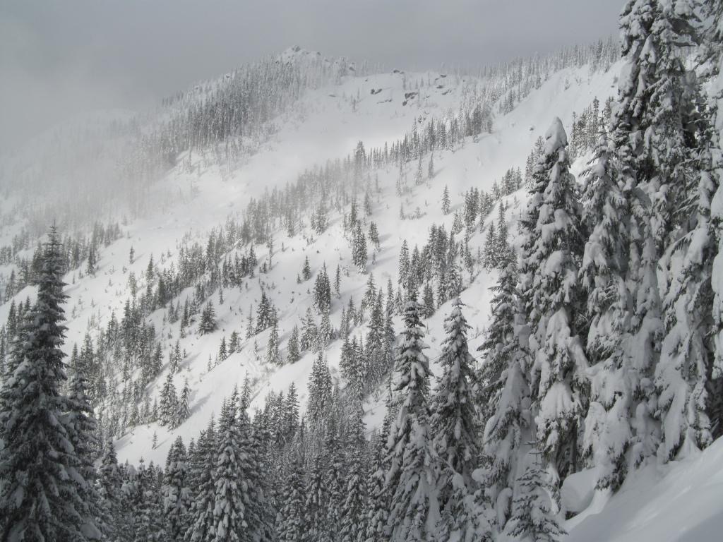 Looking at the terrain on Skyline ridge via the South face