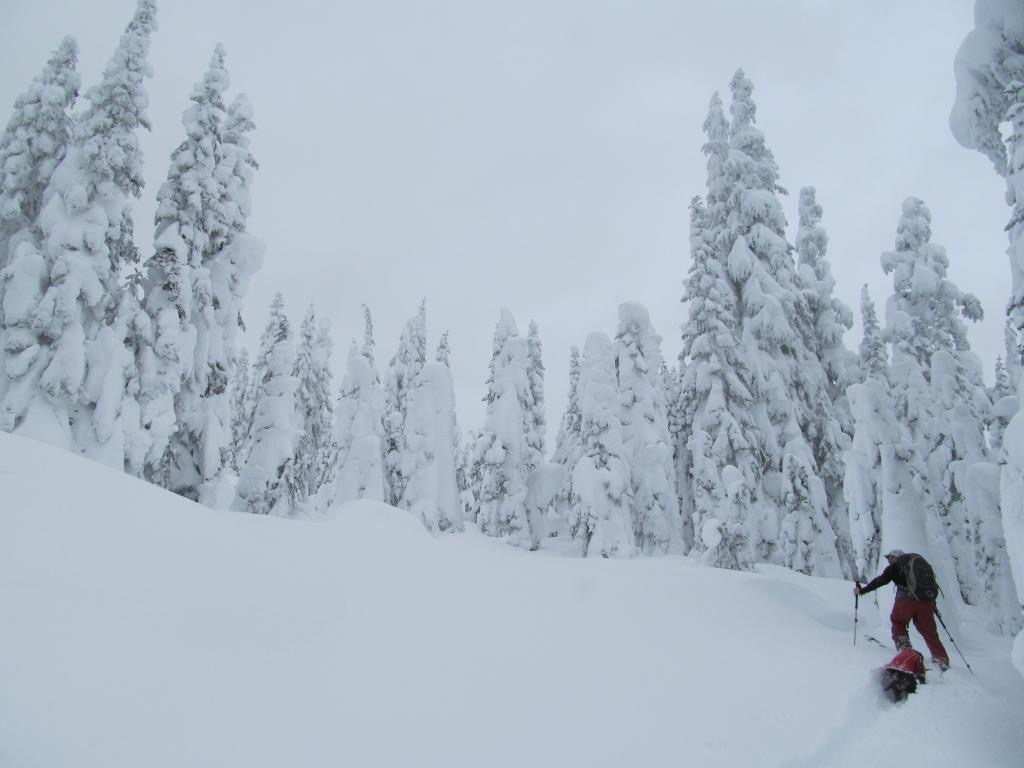 Scott ski touring up to Skyline ridge with Kololo following