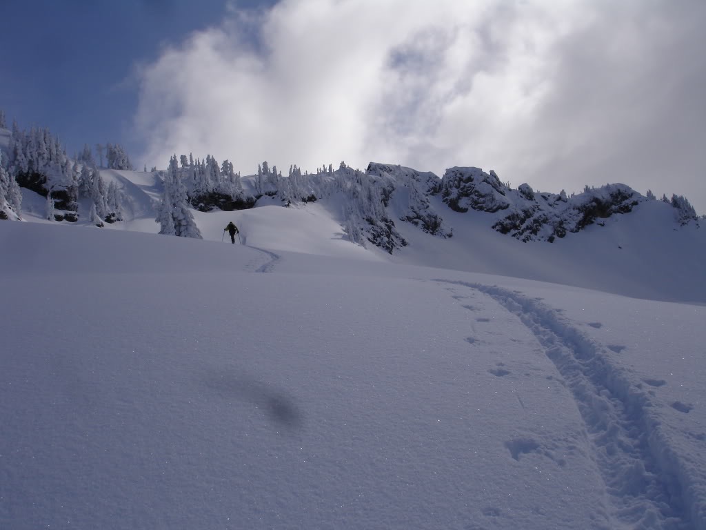 Ski touring up Wahpenayo Peaks North Slope in Mount Rainier National Park