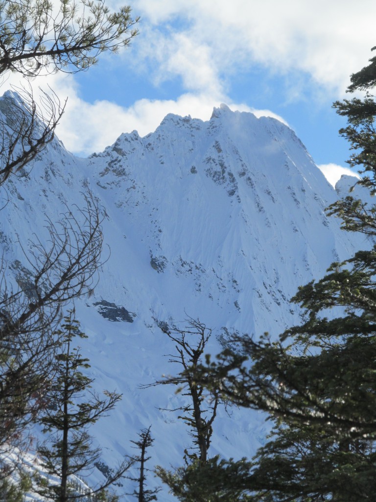 Looking towards the North face of Goode