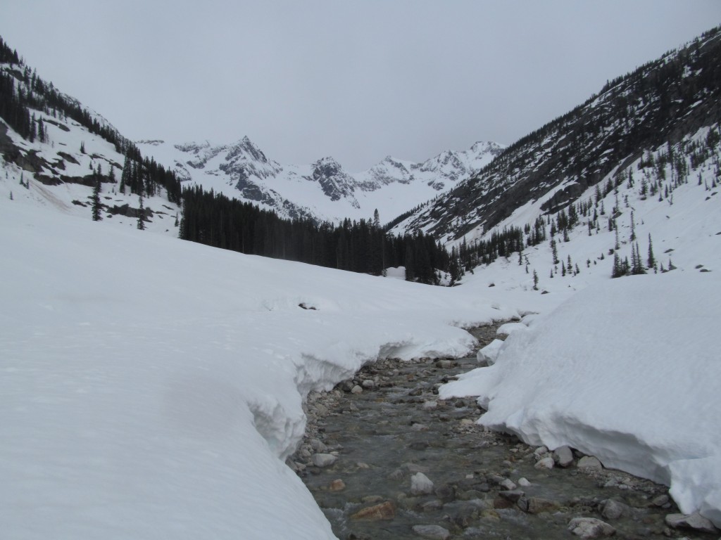 Making our way towards Mount Logan from the North Fork of Bridge Creek