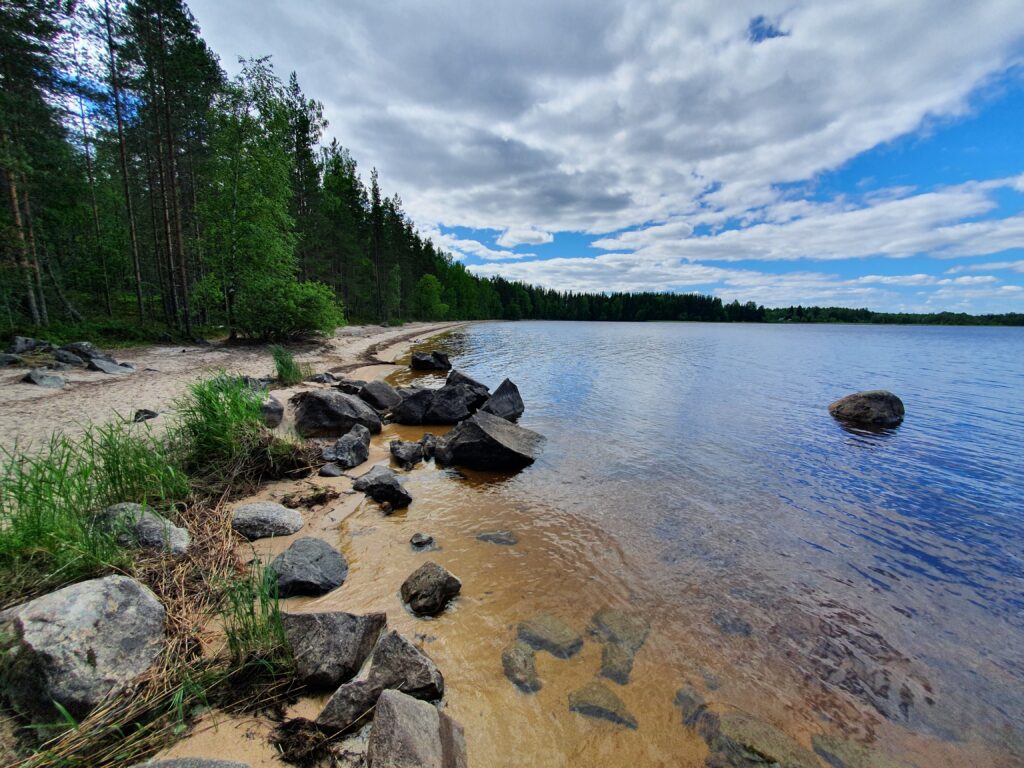 Enjoying a swim near Uimaharju