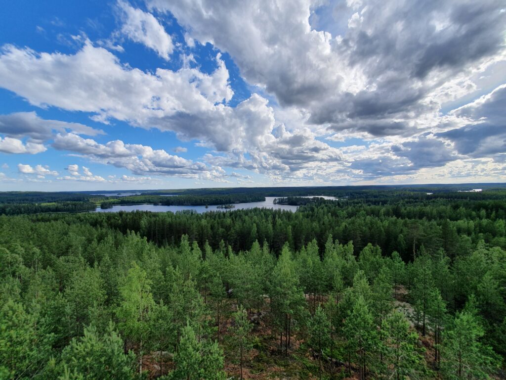 View from the top of the tower