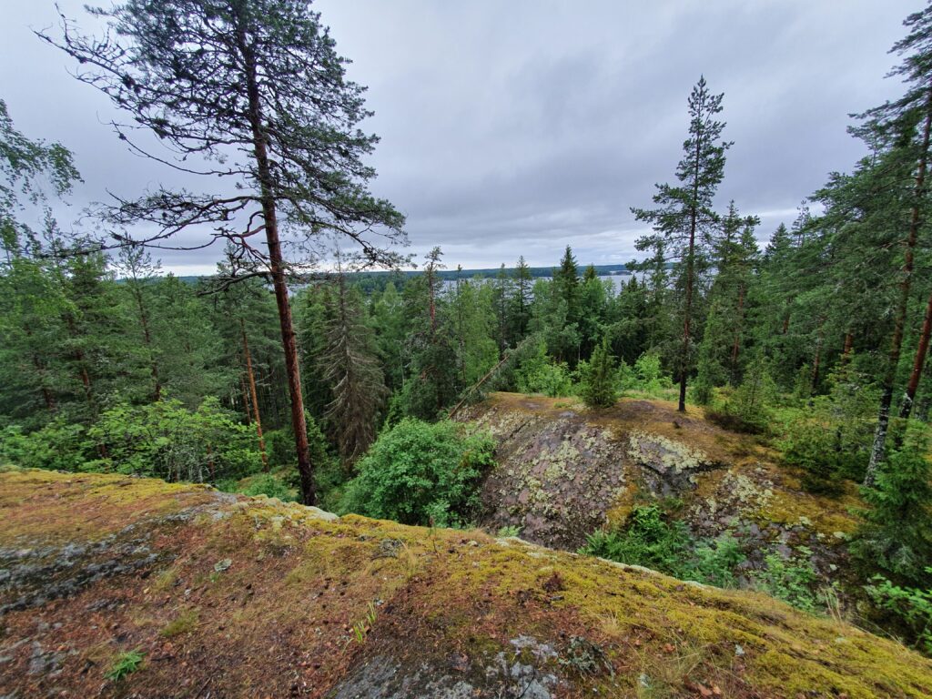 Enjoying the green landscape near Lappenranta