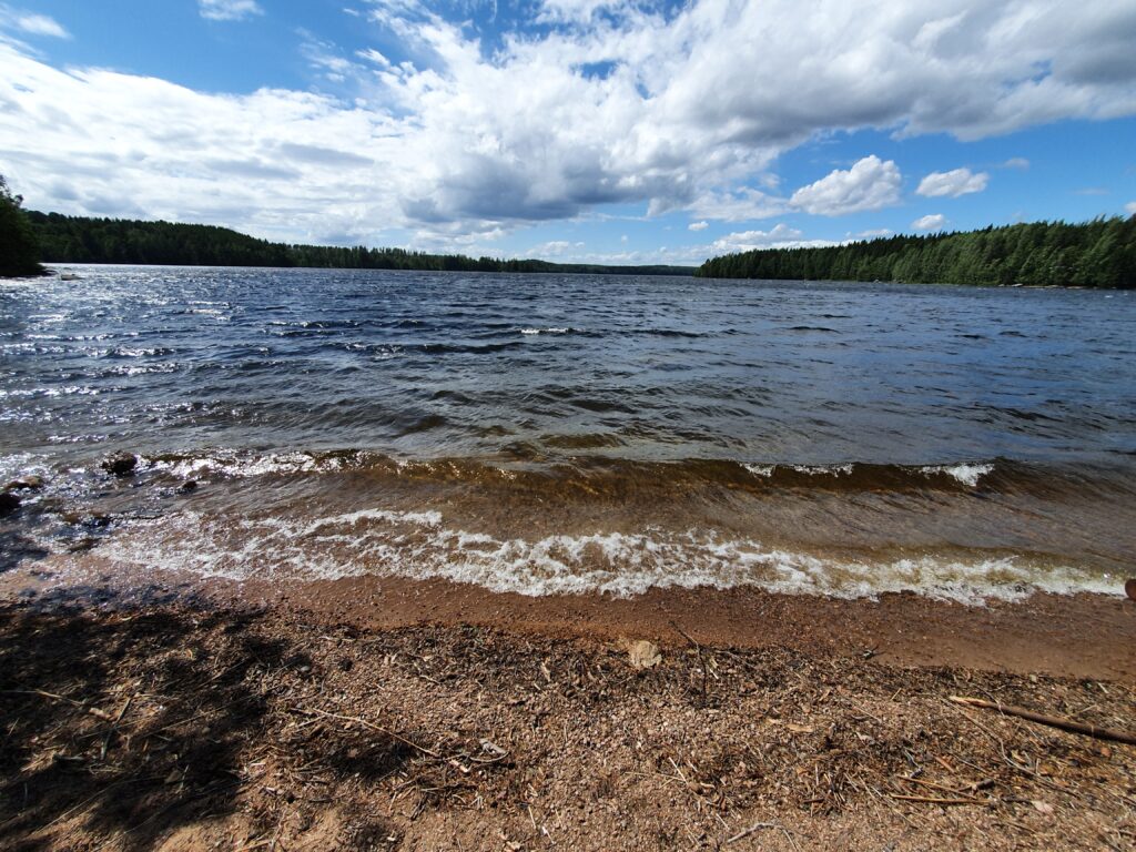 A nice swimming break