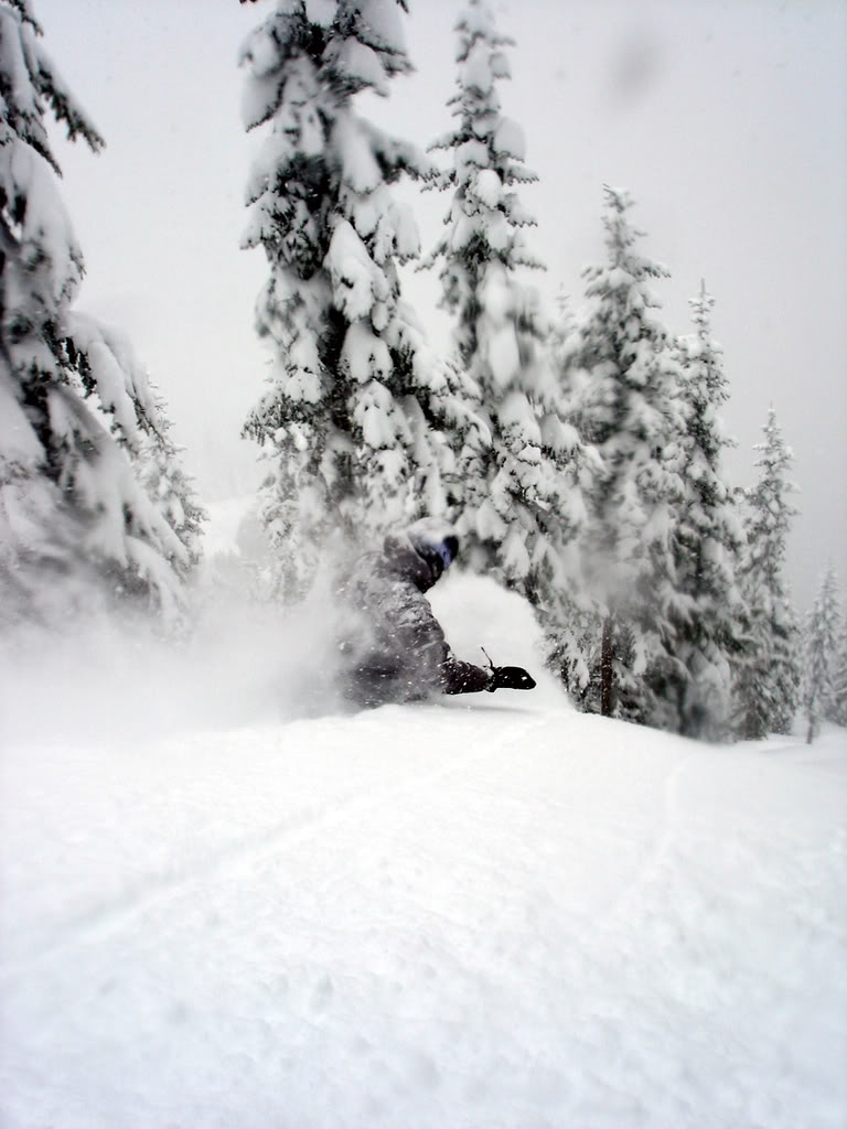Before the days of Splitboarding Trip Reports