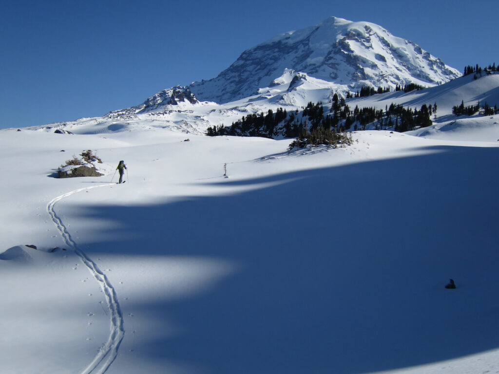 Skinning towards Mount Pleasant in Mount Rainier National Park