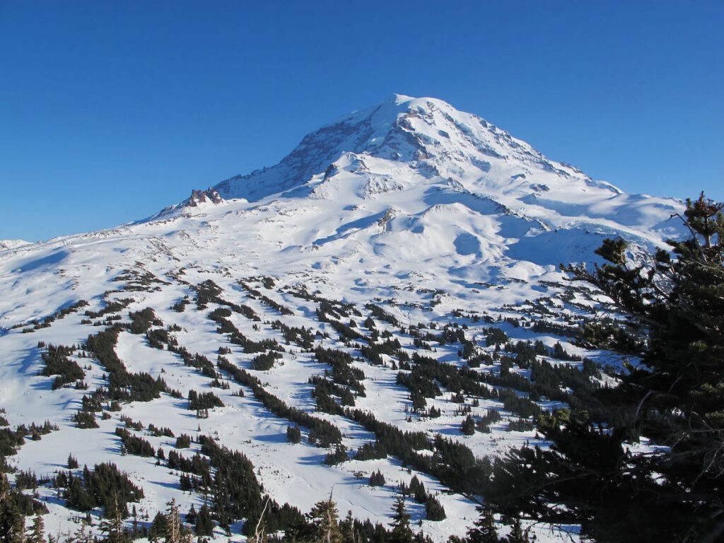 The view of Mount Rainier from the summit of Mount Pleasant