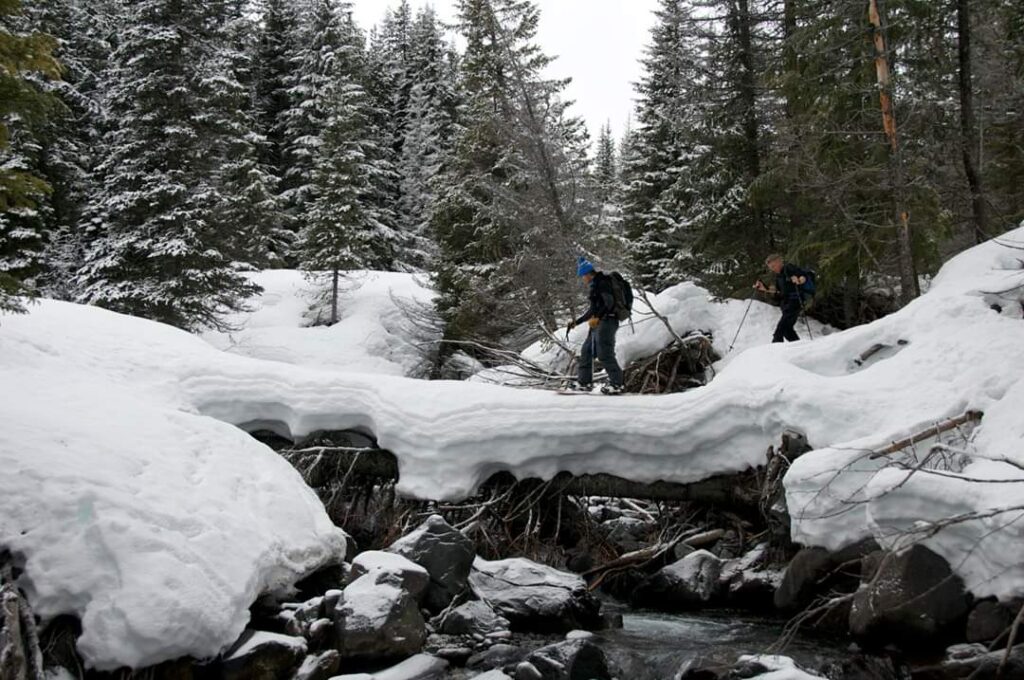 Leaving the Glacier Basin Trail and heading towards the Emmons Glacier