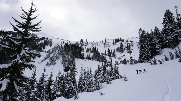 Breaking trail up Sunbeam Basin and checking how the snow feels