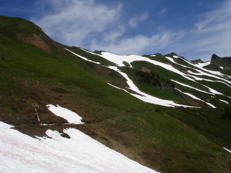 Making our way to a trail after near White Pass after days on the Dakobed Traverse