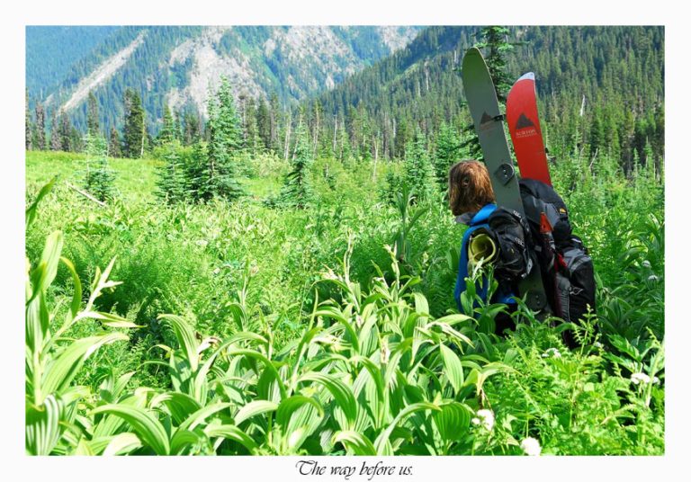 One last bushwhack for the trip as we exit the Dakobed Traverse