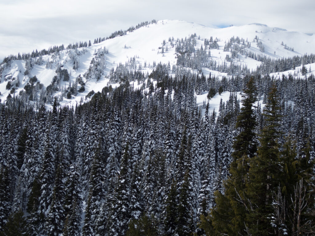 Looking at Cement Basin on our way towards Lake Basin