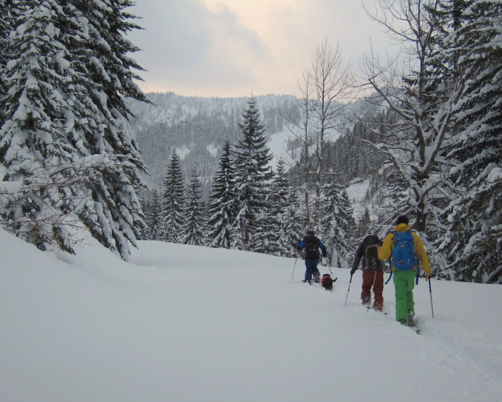 Skinning up to Stevens Pass and Gaining backcountry knowledge a step at a time