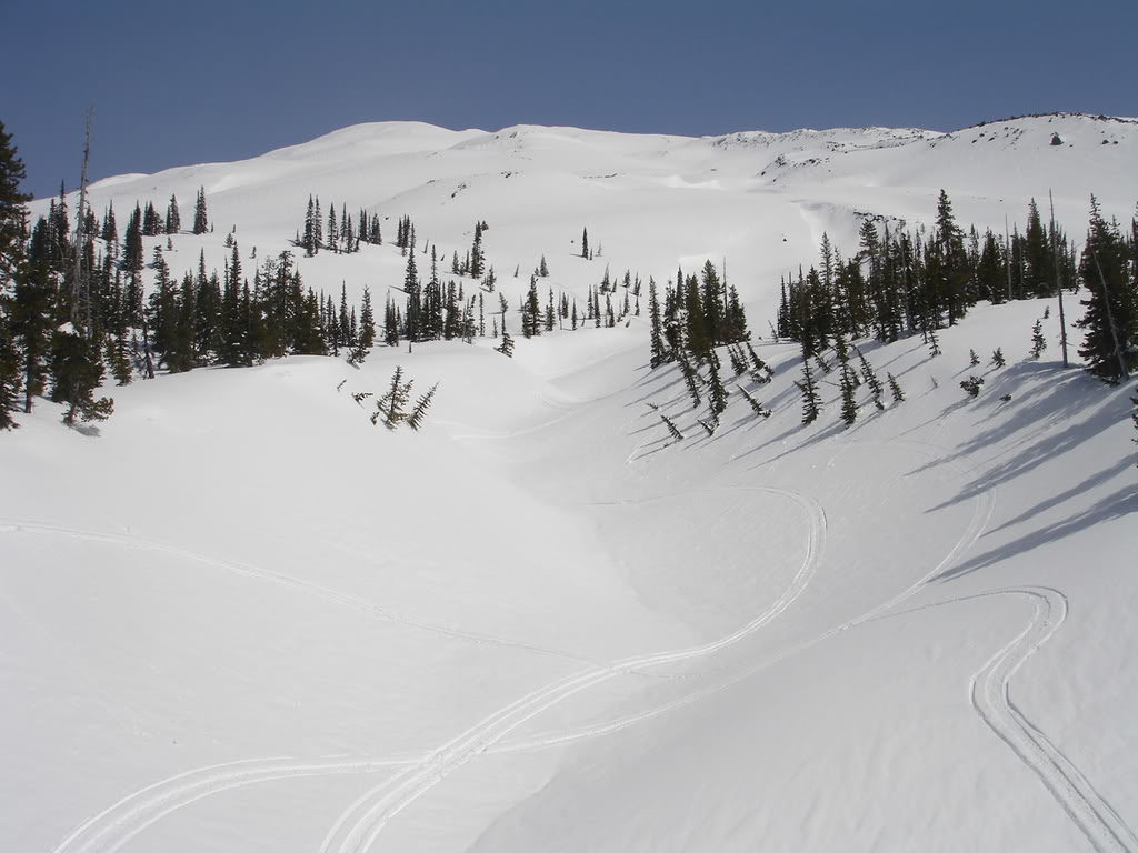 Arriving in the alpine of Mount Saint Helens