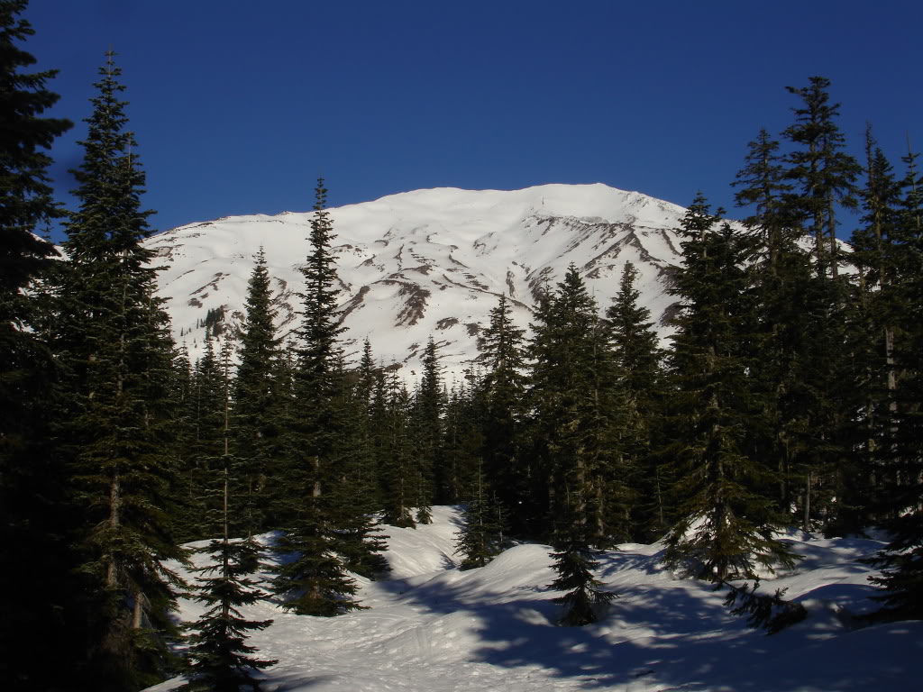 Our first view of Mount Saint Helens after leaving the Marble Mountain Sno-park