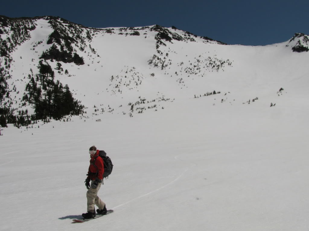 Celebrated late spring corn in the Oregon Cascades