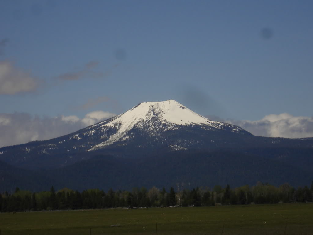 Looking at Mount Scott from Klamath Marsh 