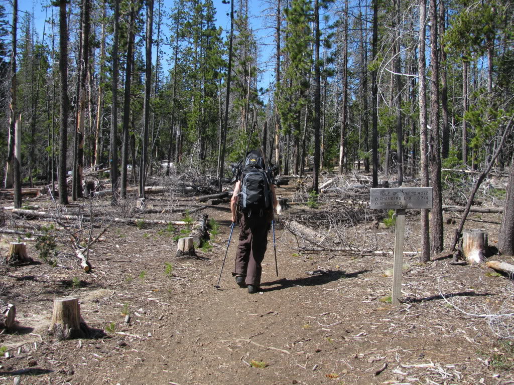 Heading up the Pole Creek Trailhead to ski the Middle and South Sisters in Three Sisters Wilderness