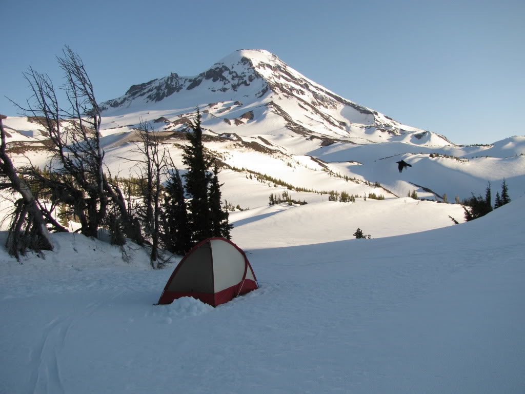 Our tent in Three Sisters Wilderness with the South Sister in the distance