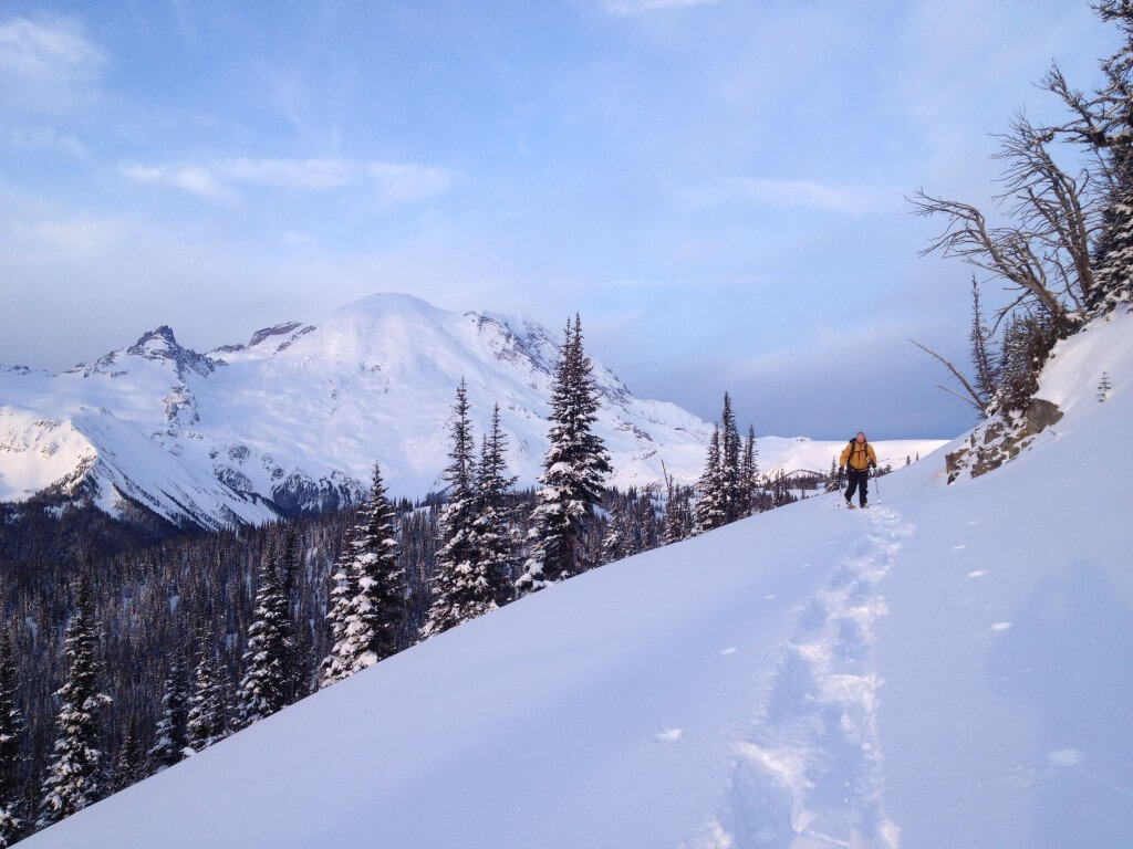 Ski touring in Winter next to Sunrise Visitor Center in the Mount Rainier National Park Backcountry