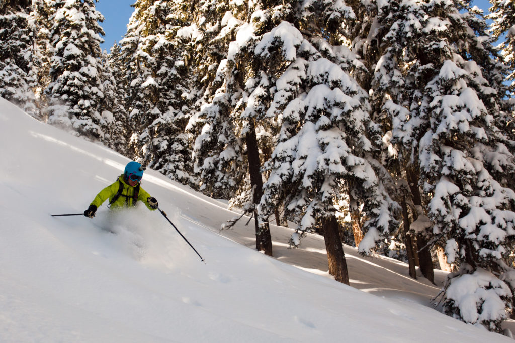 Skiing through the lower trees of the Zillertal Valley