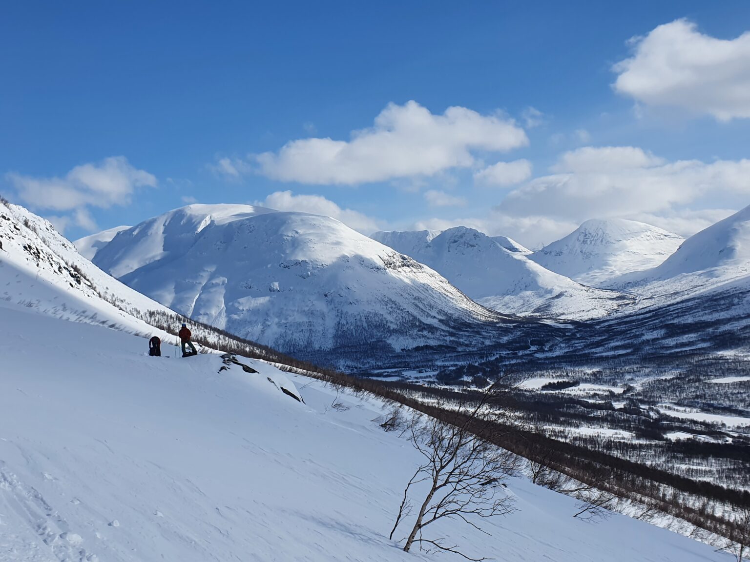 Looking across at Tamokfjellet from the tree line on Blåbaerfjellet