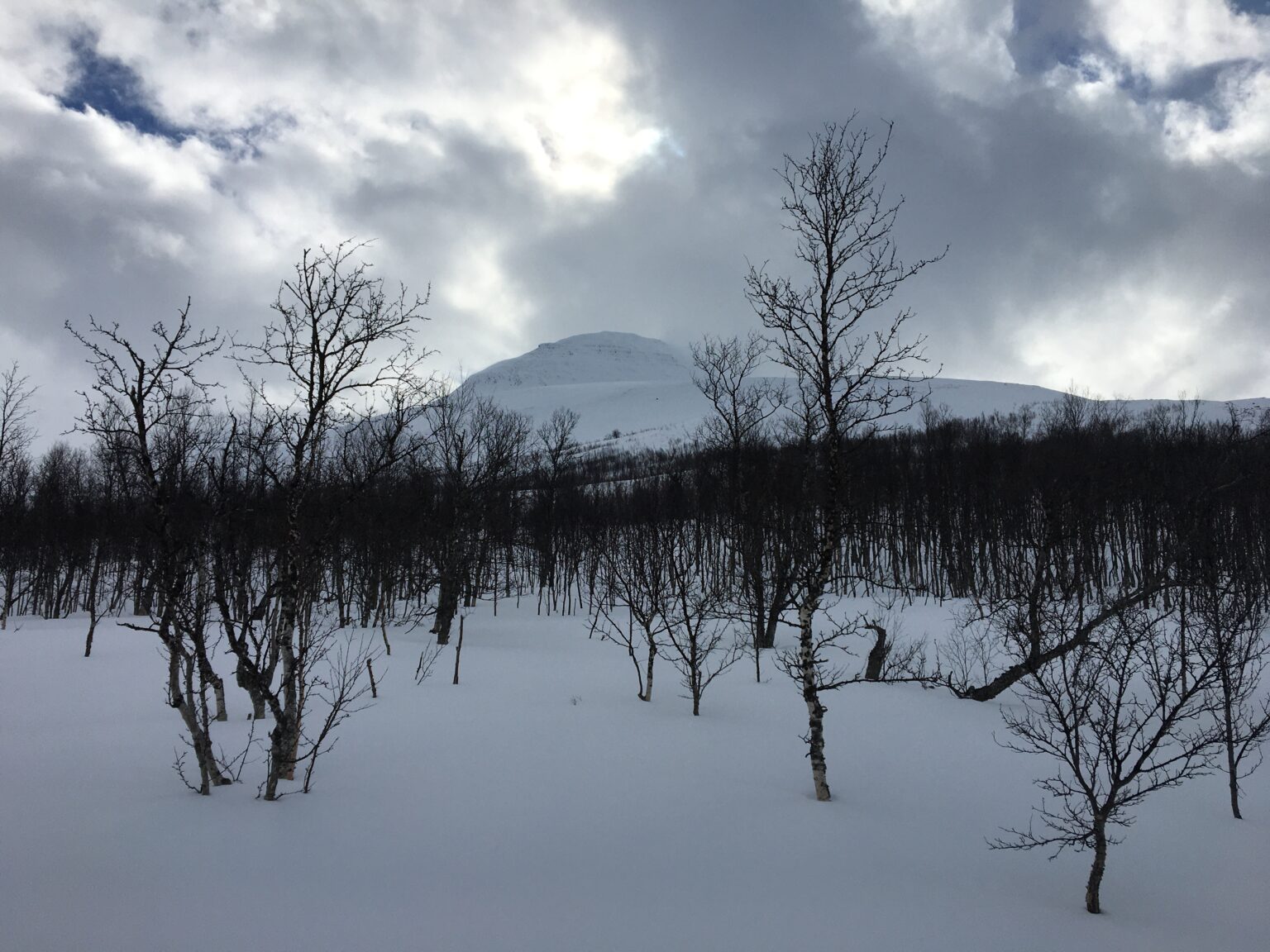 Looking up at Rostakulen through the trees