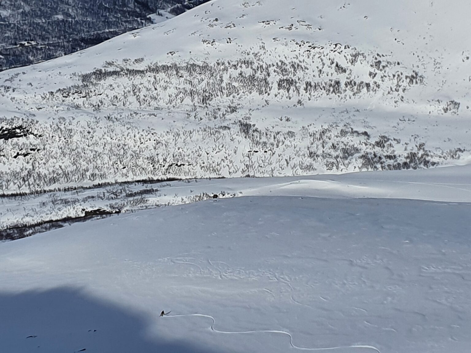 Snowboarding down the shadow line