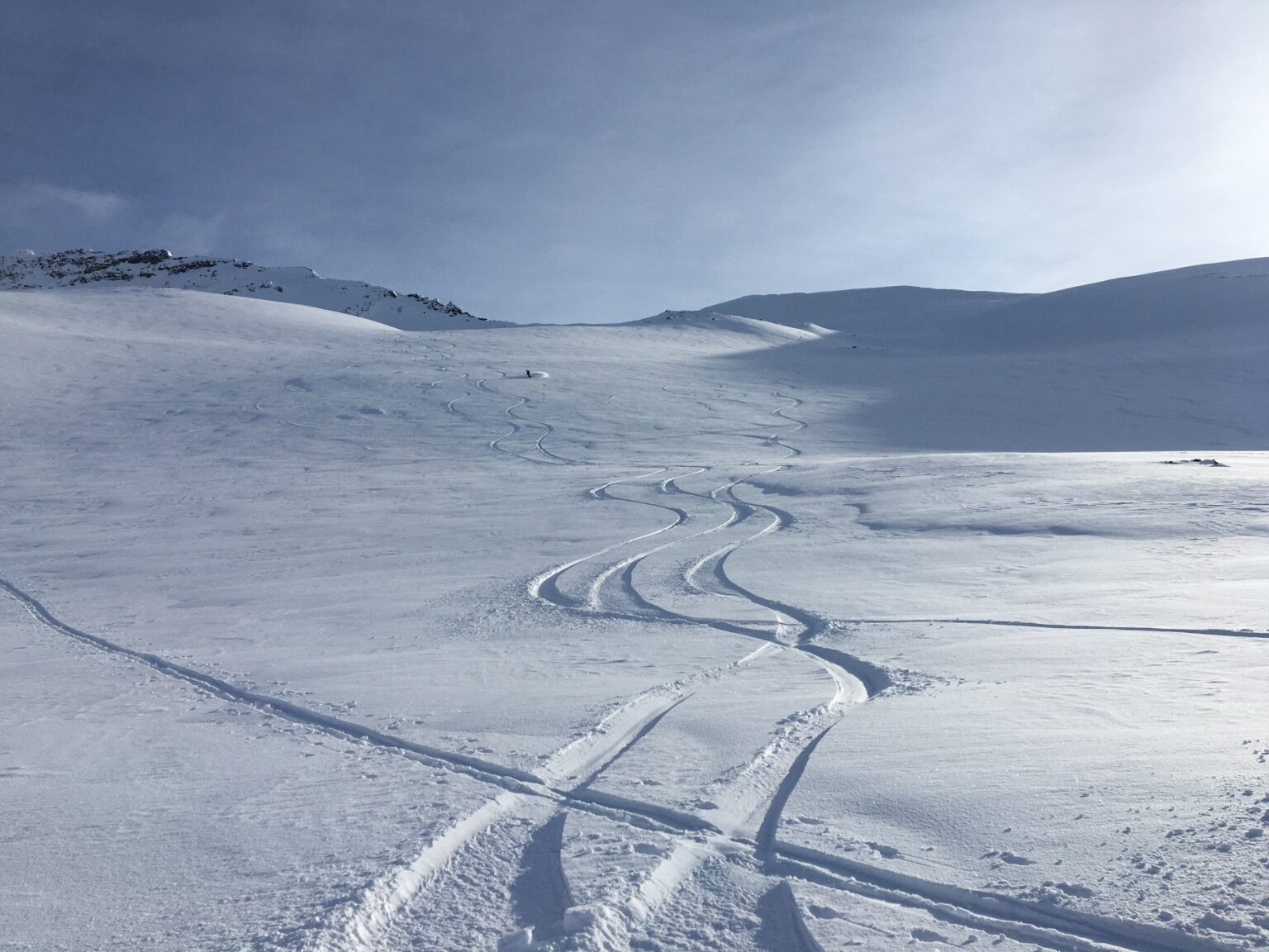 Snowboarding down sheltered powder