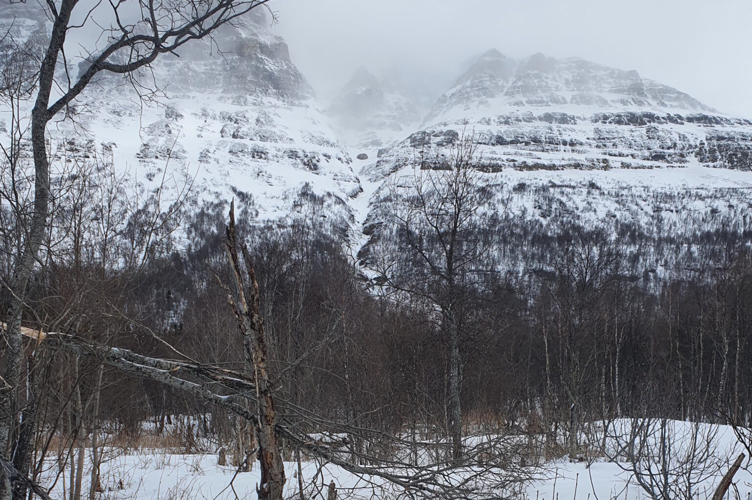 Looking at the West chute on Rostafjellet near Tamokdalen