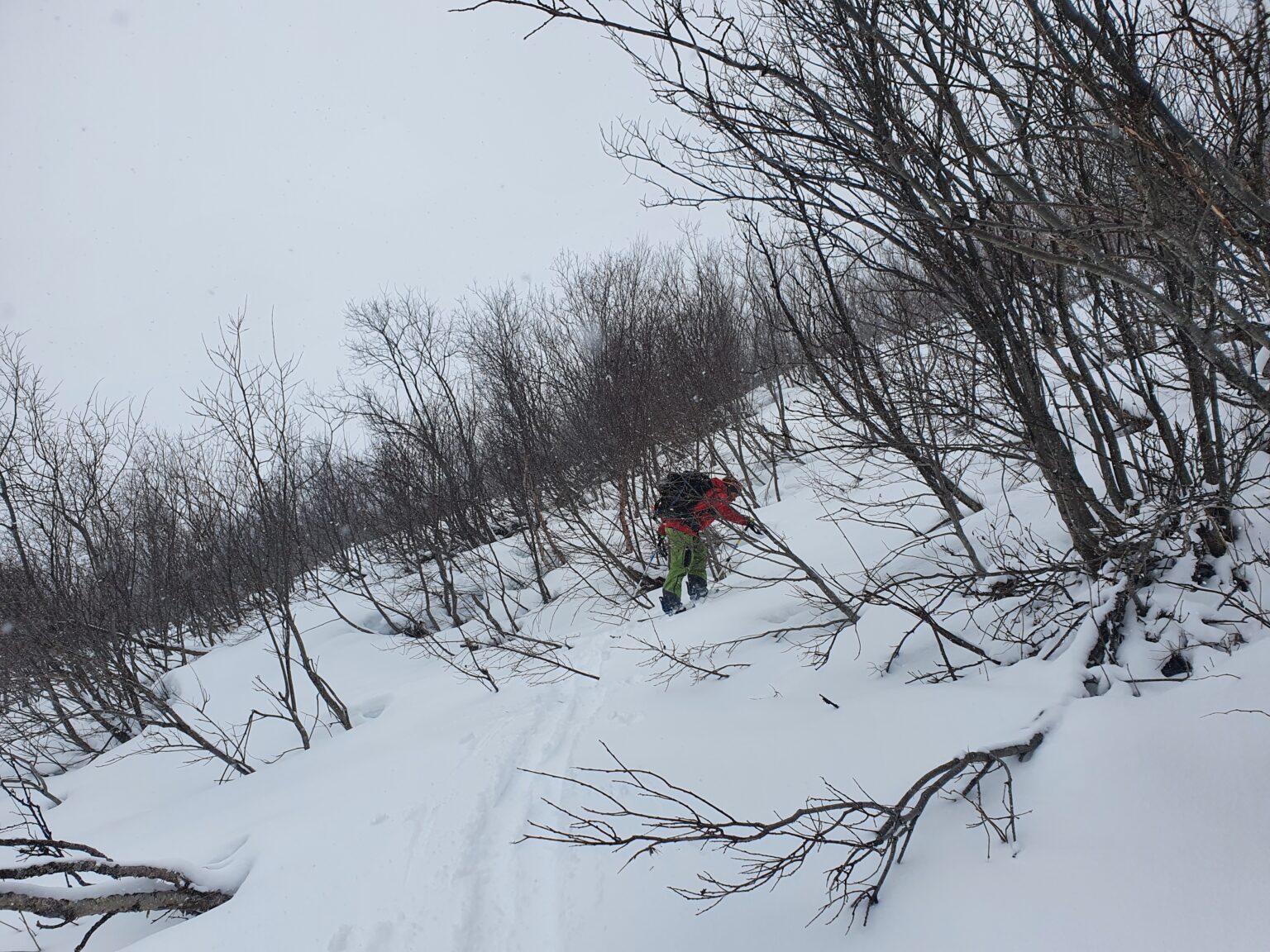 Skinning through steep trees