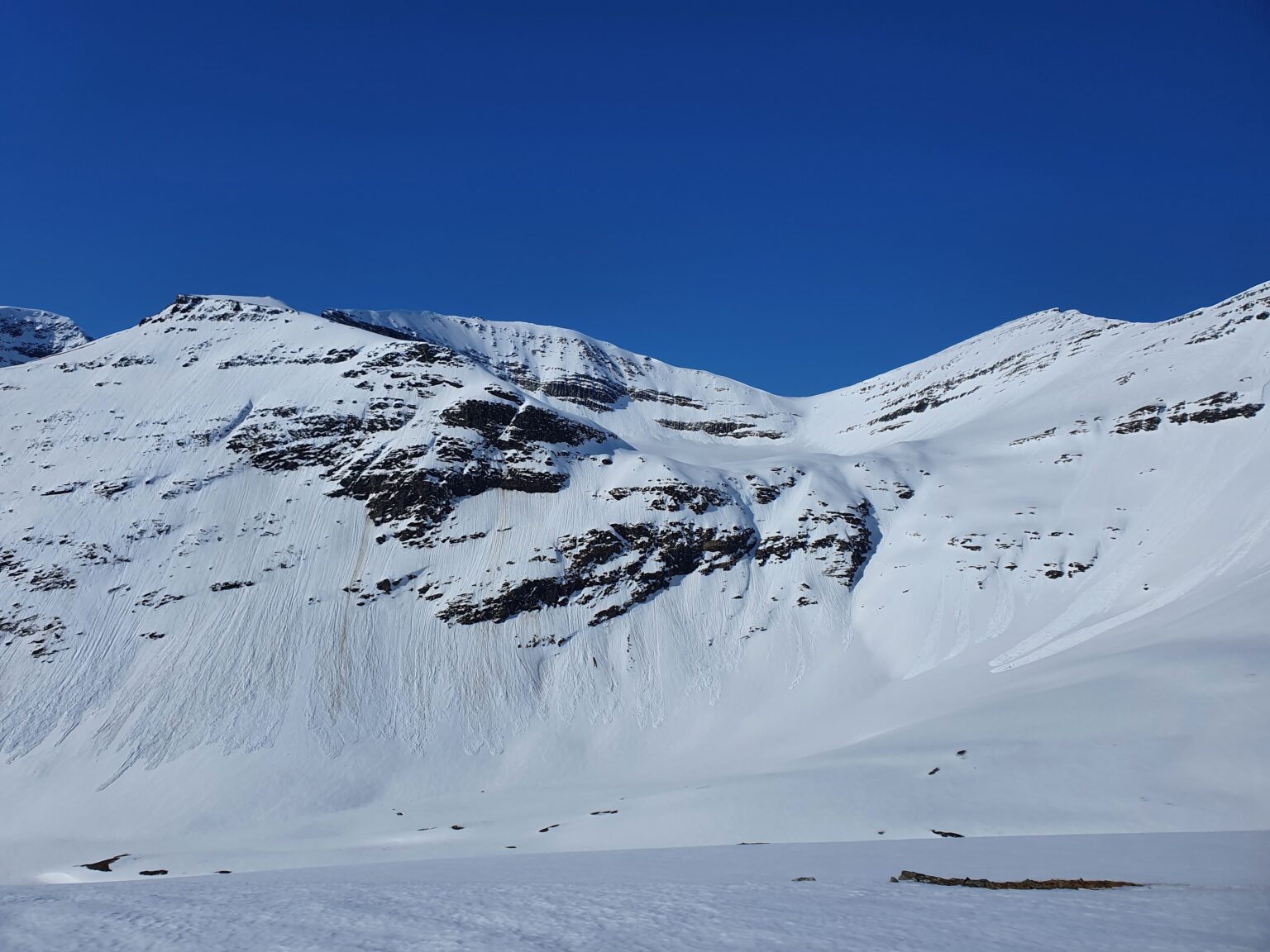 Looking at the South facing slopes behind the Backyard area