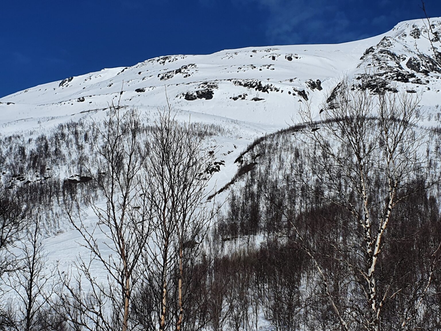 Looking back up at our tracks on the south chute of Tamokfjellet