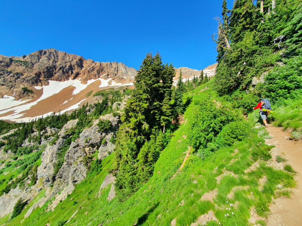 Hiking into the alpine before reaching the base of Spider Gap