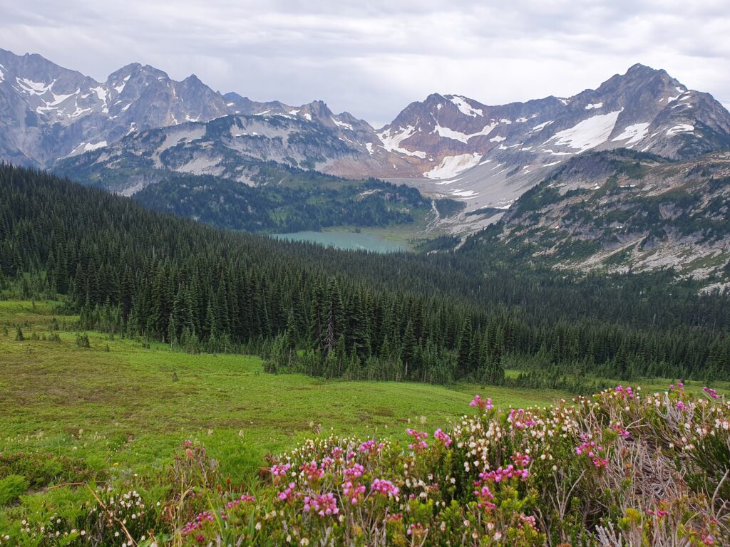 Lyman Lake and spring flowers from Cloudy Pass