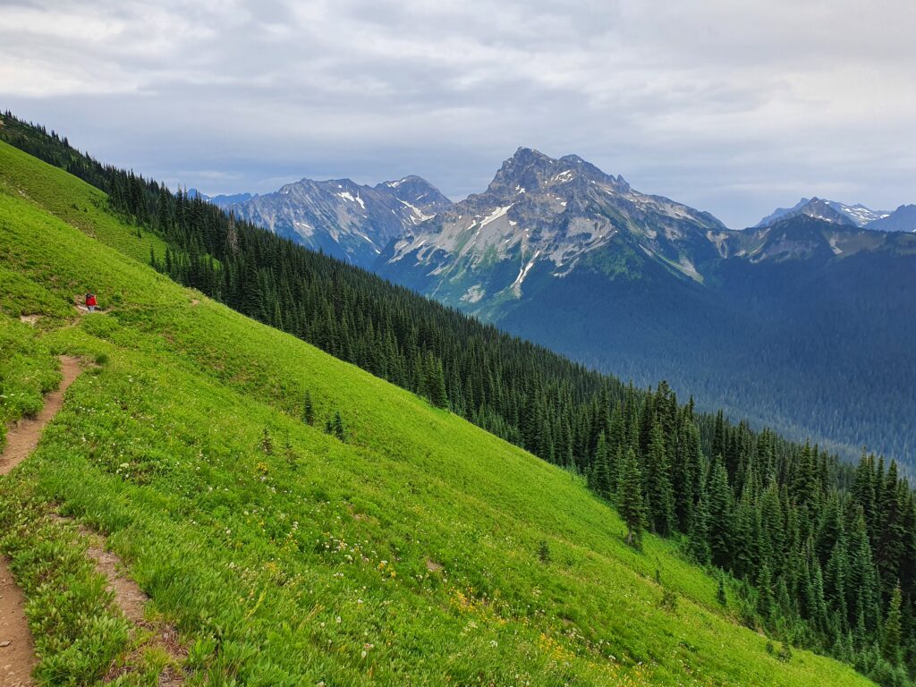 Dan hiking on the Image Lake trail