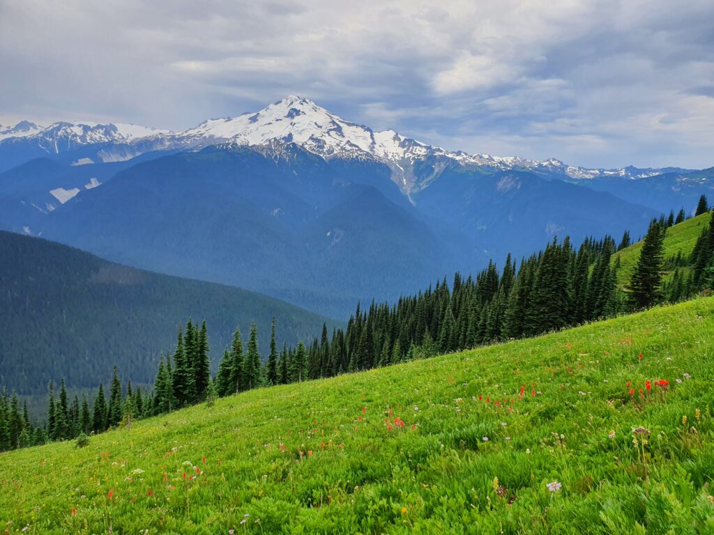 Looking at Glacier Peak from the Image Lake trail