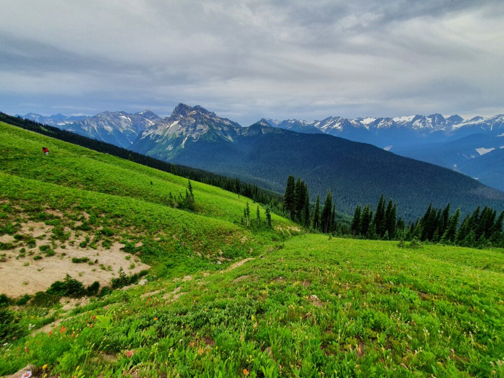 Looking back towards Suiattle Pass