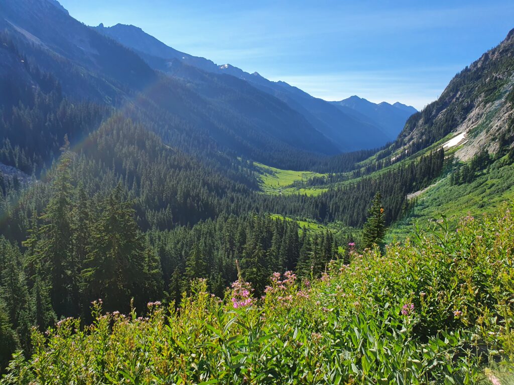 Looking back down towards Spider Meadows while hiking up to Spider Gap