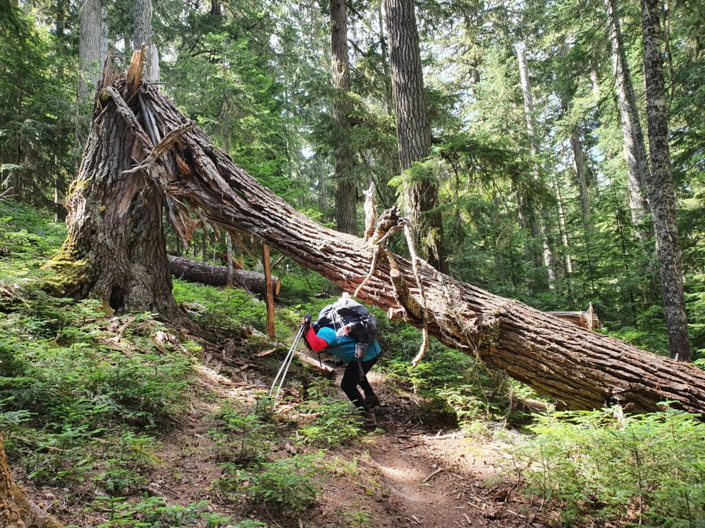 Hiking up to Shepards Pass after leaving the Pacific Crest Trail