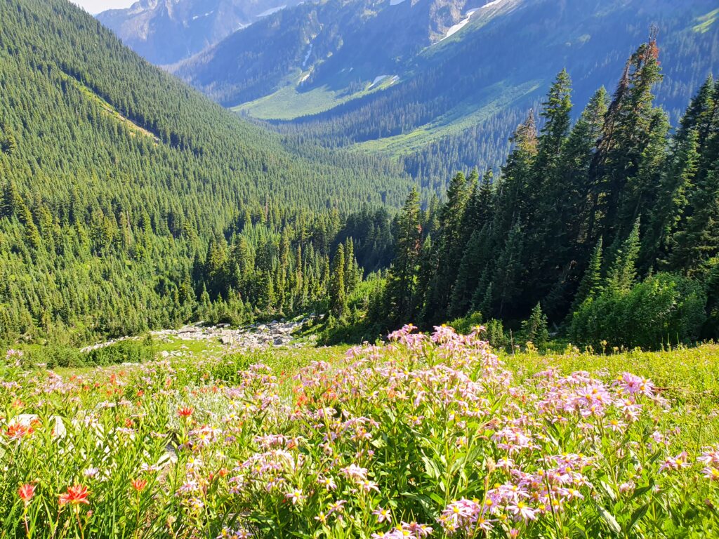 Looking down the Buck Creek Valley