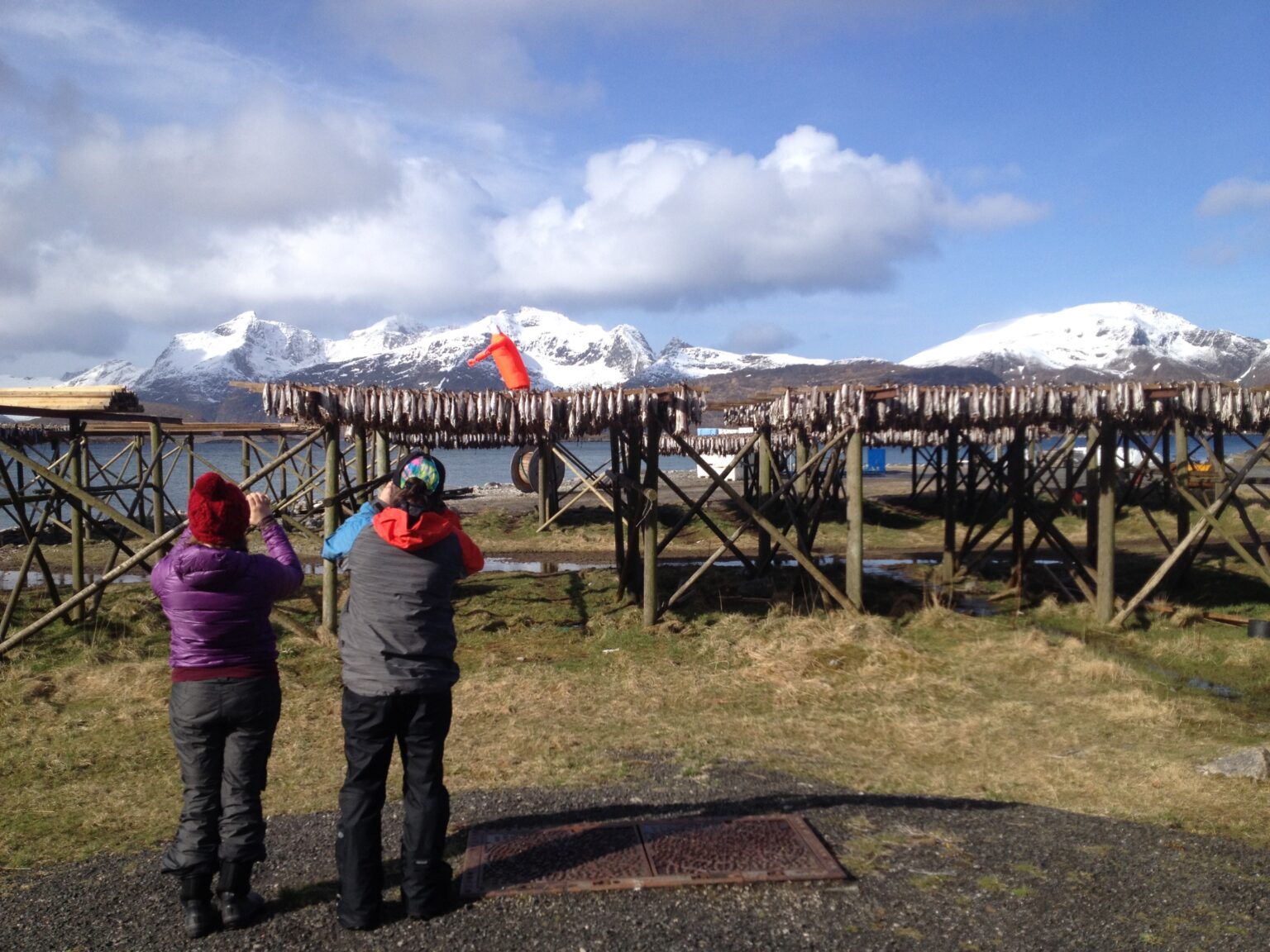 Taking in the view of drying fish in Lofoten Norway