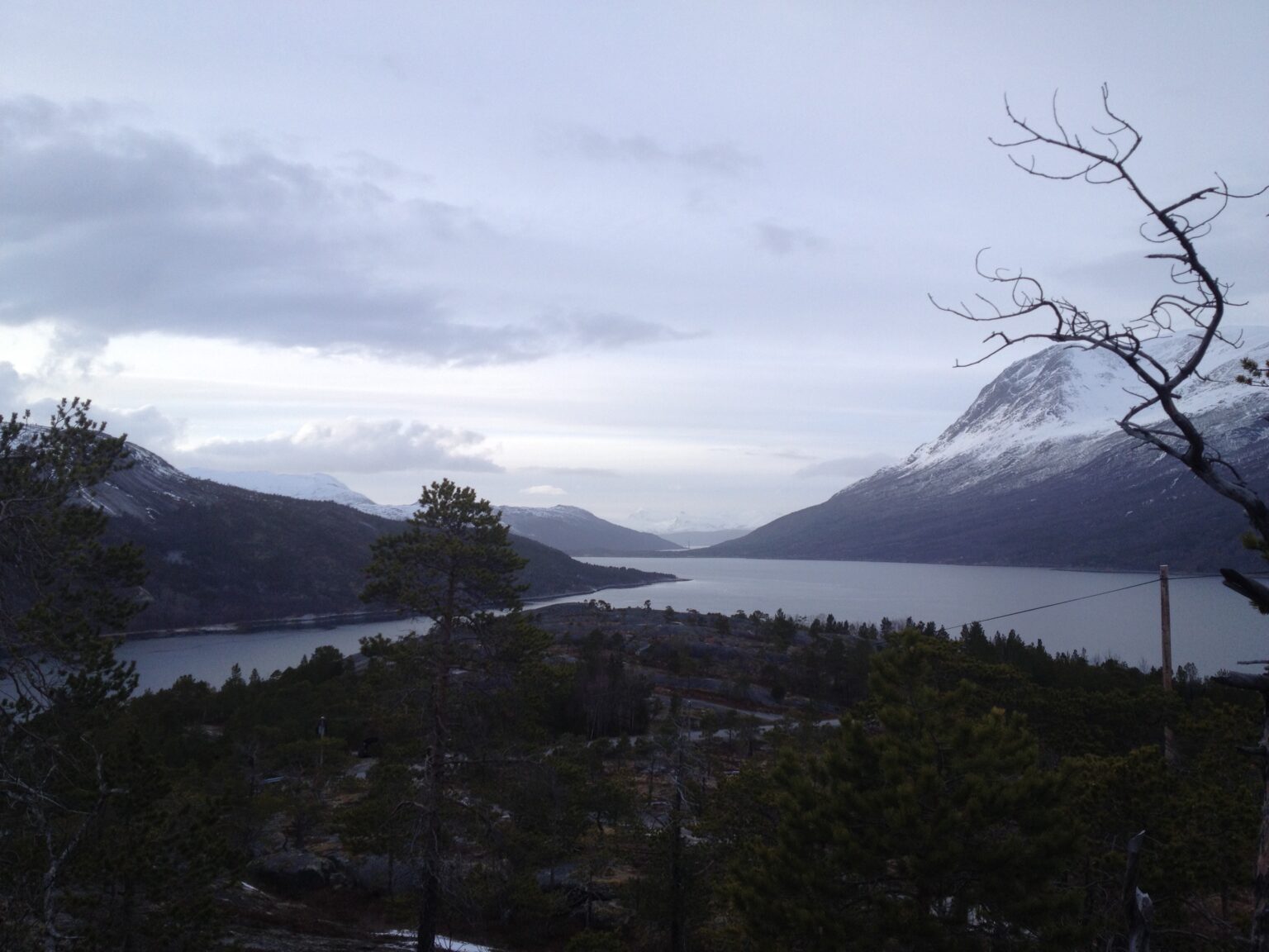 Camping in the Skjomen fjord with a beautiful view of the surrounding area