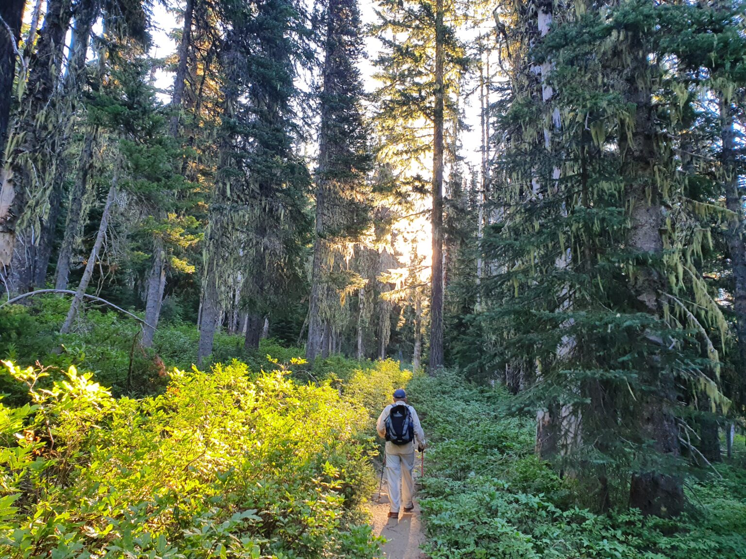 Hiking into Goat Rocks Wilderness from Chambers Lake Campground