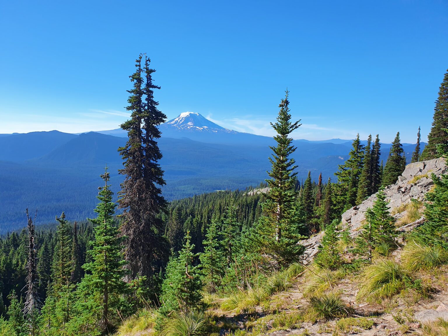 Looking at Mount Adams to the South