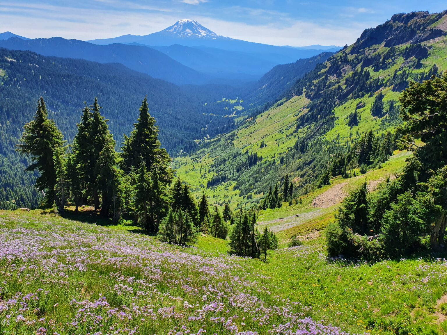 Looking down valley in Goat Rocks Wilderness