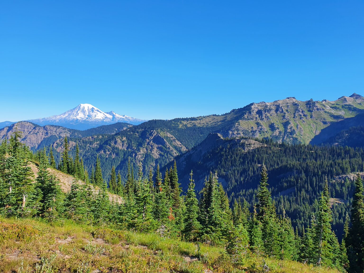 Looking at Mount Rainier to the North