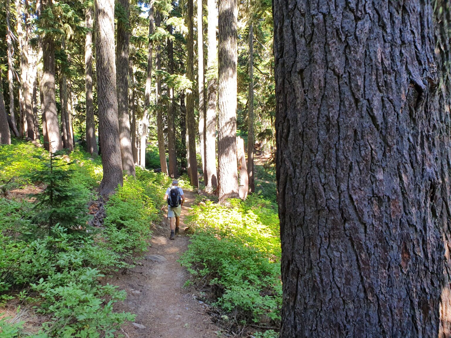 Hiking back to Chambers Lake