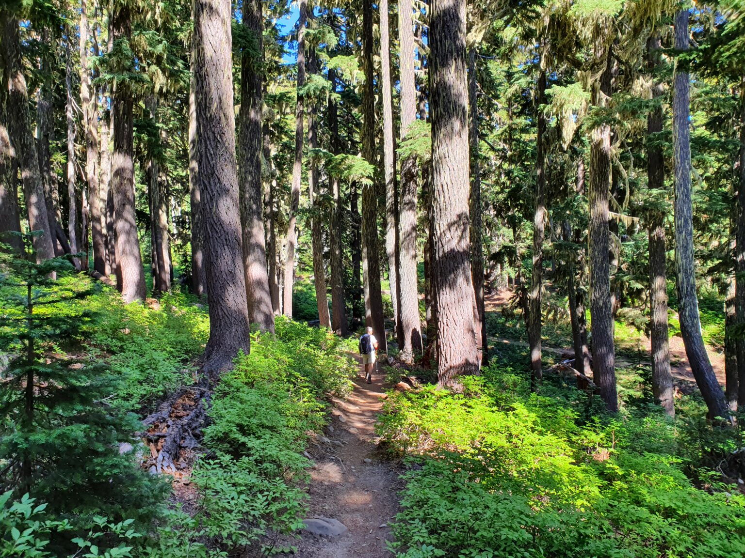 Hiking back to the trailhead